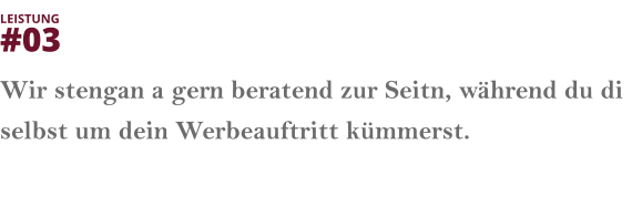 Wir stengan a gern beratend zur Seitn, während du di selbst um dein Werbeauftritt kümmerst.   LEISTUNG  #03