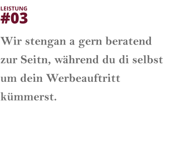 Wir stengan a gern beratend zur Seitn, während du di selbst um dein Werbeauftritt kümmerst.   LEISTUNG  #03