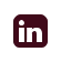 LinkedIn Icon