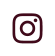 Instagram Icon